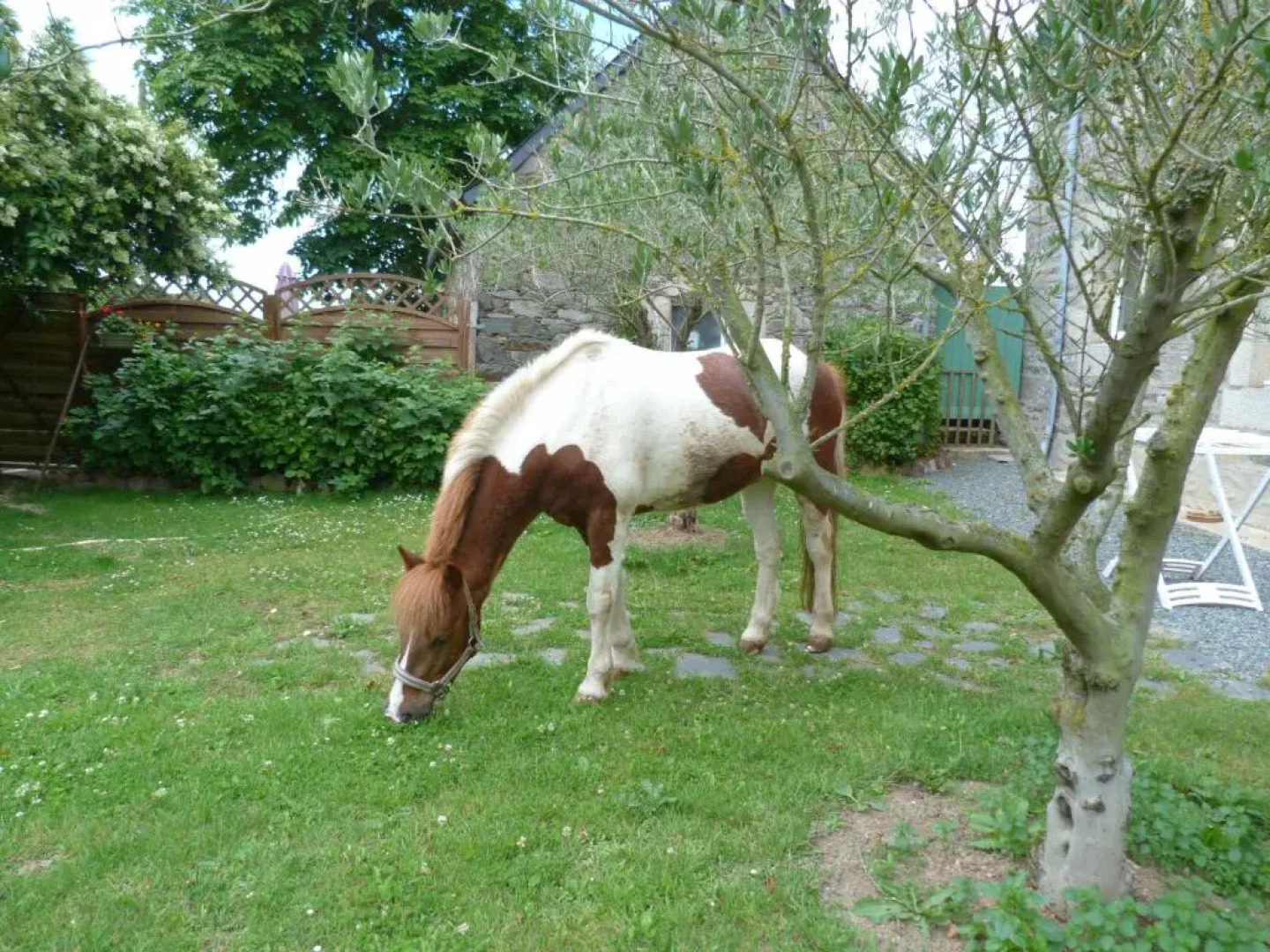 Gîte Losten Ar Gogues