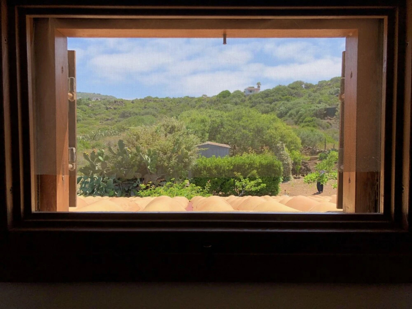 La Casetta delle Conchiglie