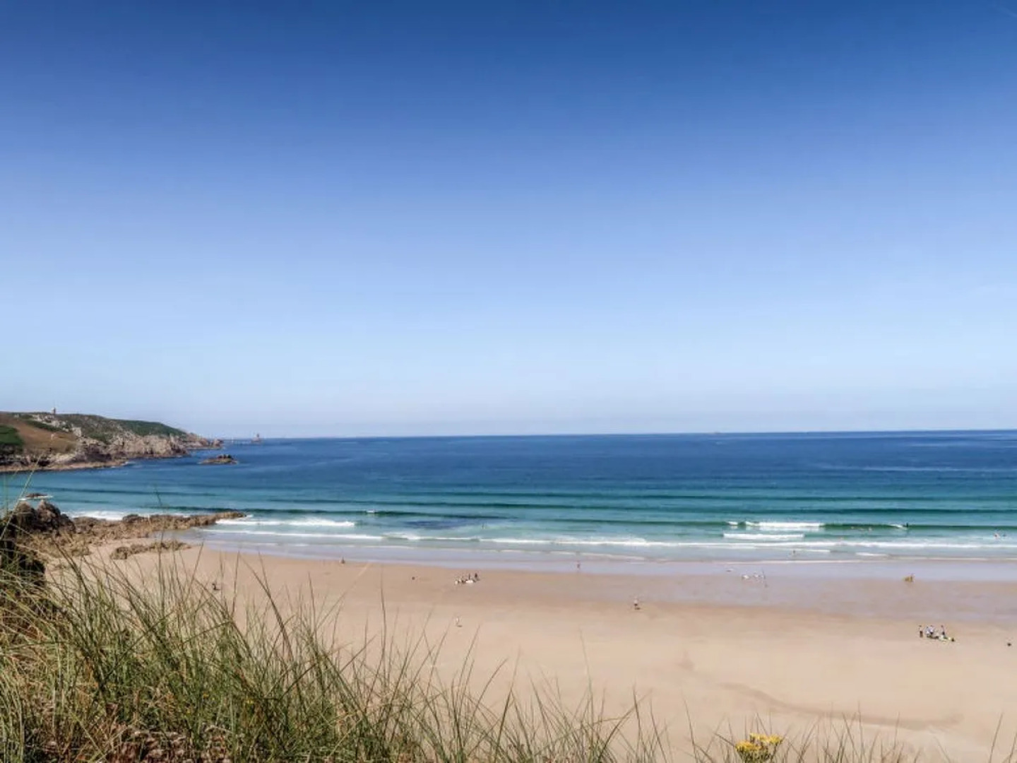 Les Hortensias (PGF100)