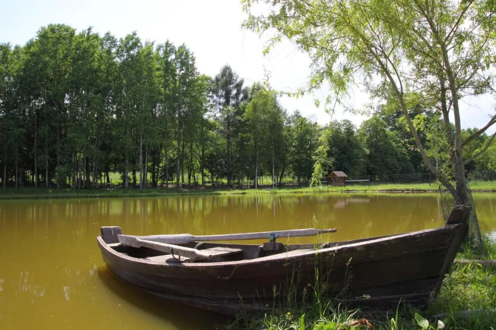 Siedlisko Leszczewek