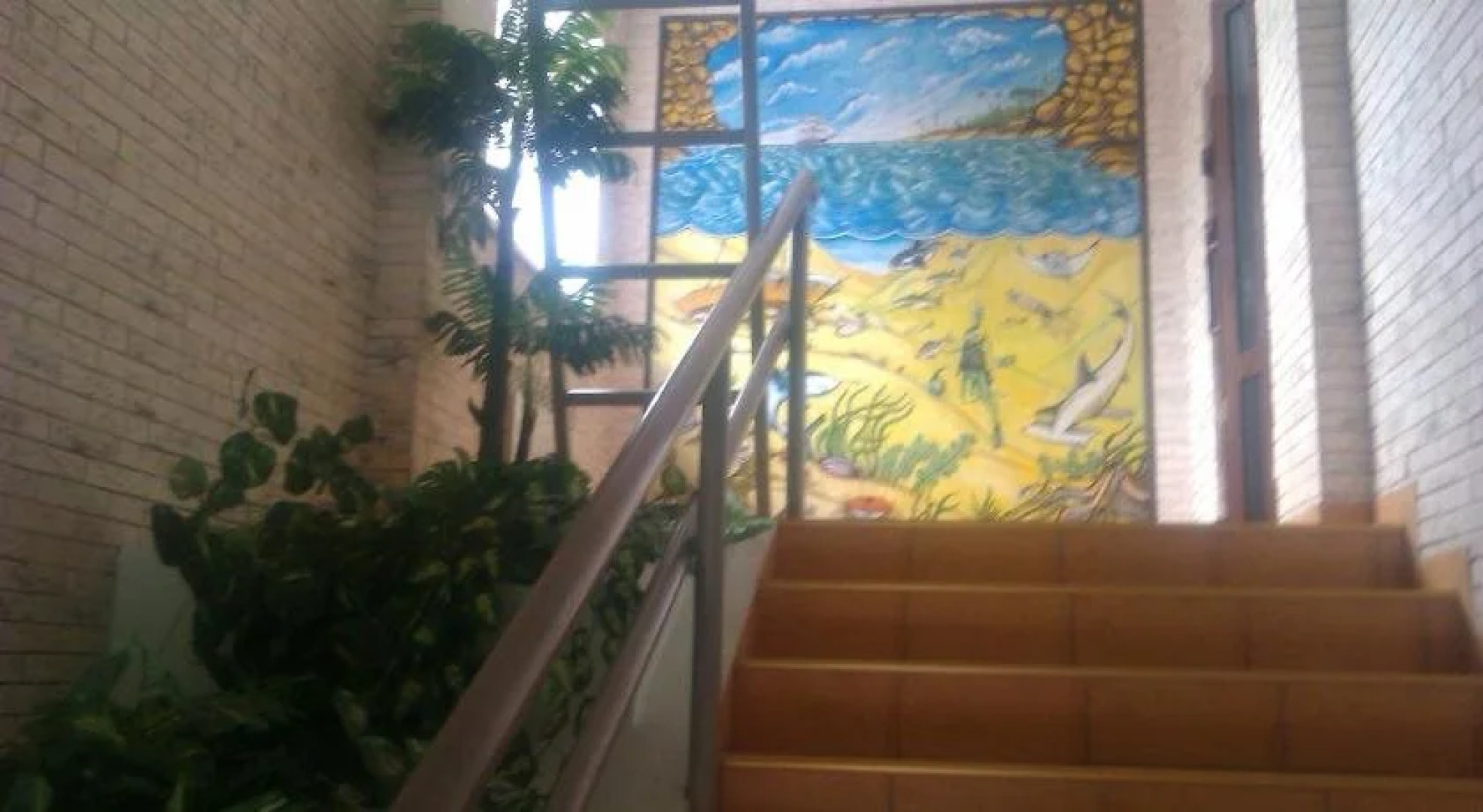 Райская Лагуна Омск