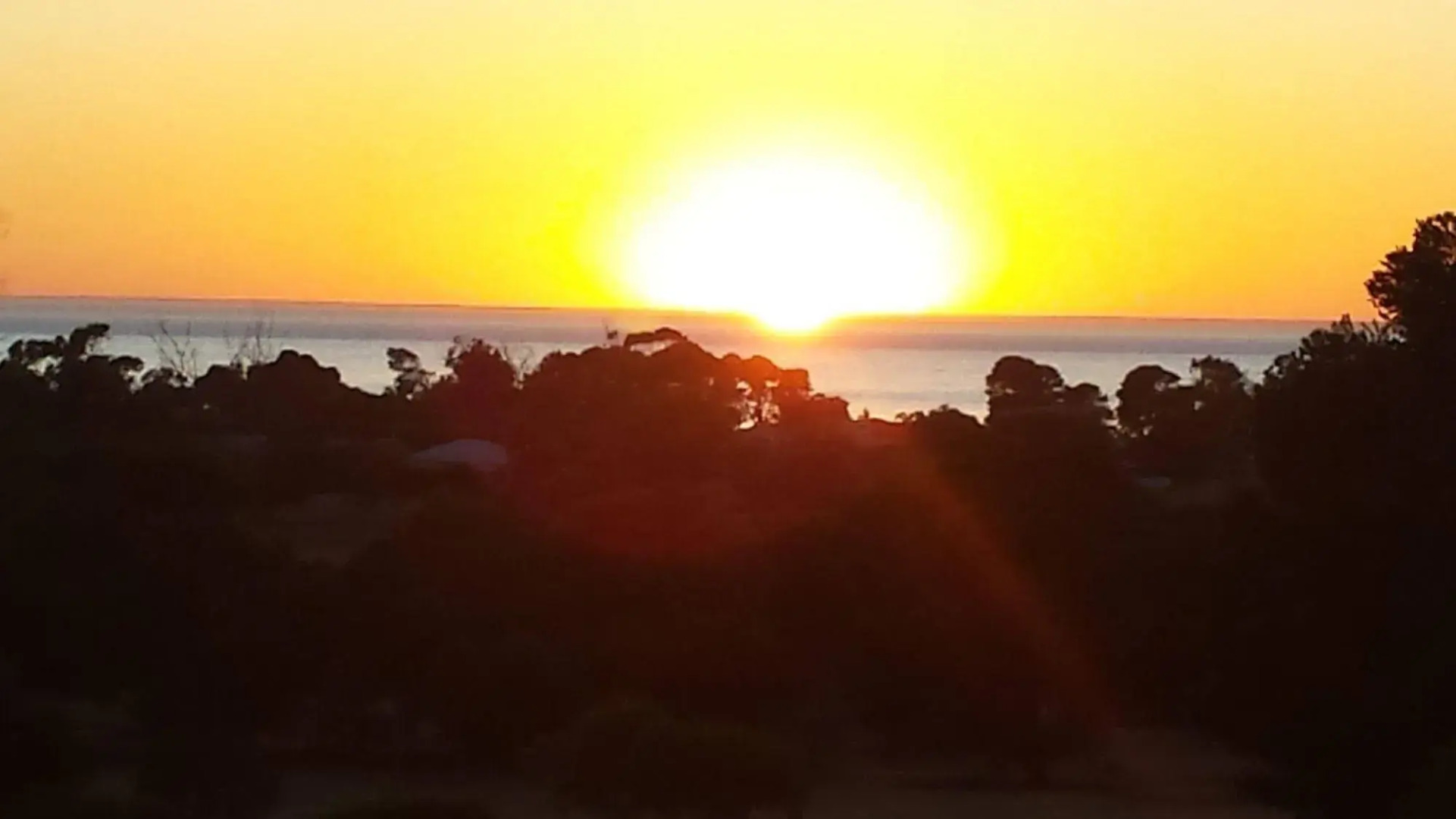 Oyster Court Apartments