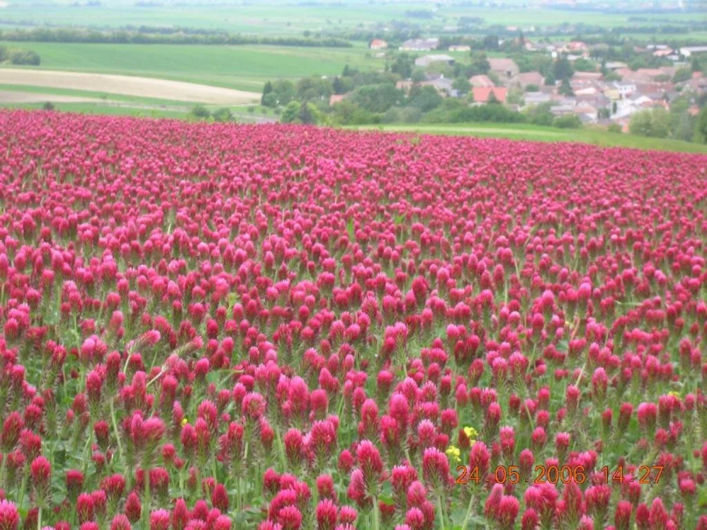 Weinbauernhof Vier Jahreszeiten