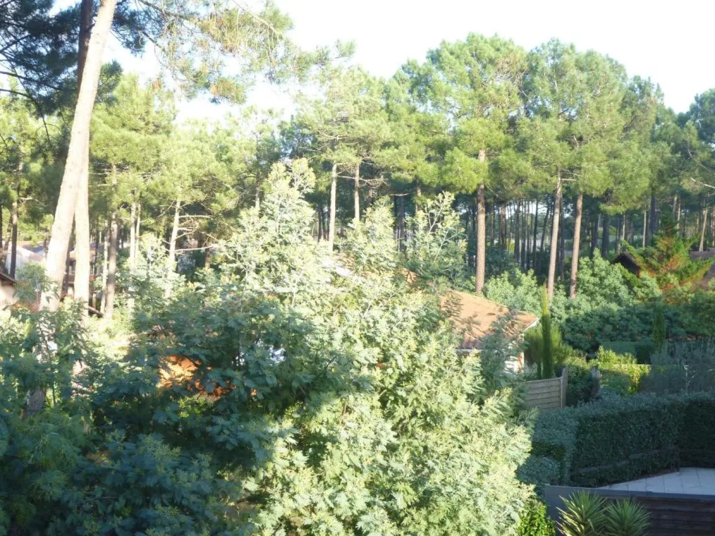 18 Résidence Parc de la Dune