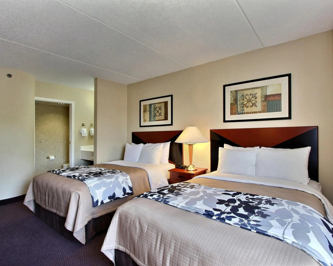 Sleep Inn & Suites of Lancaster County