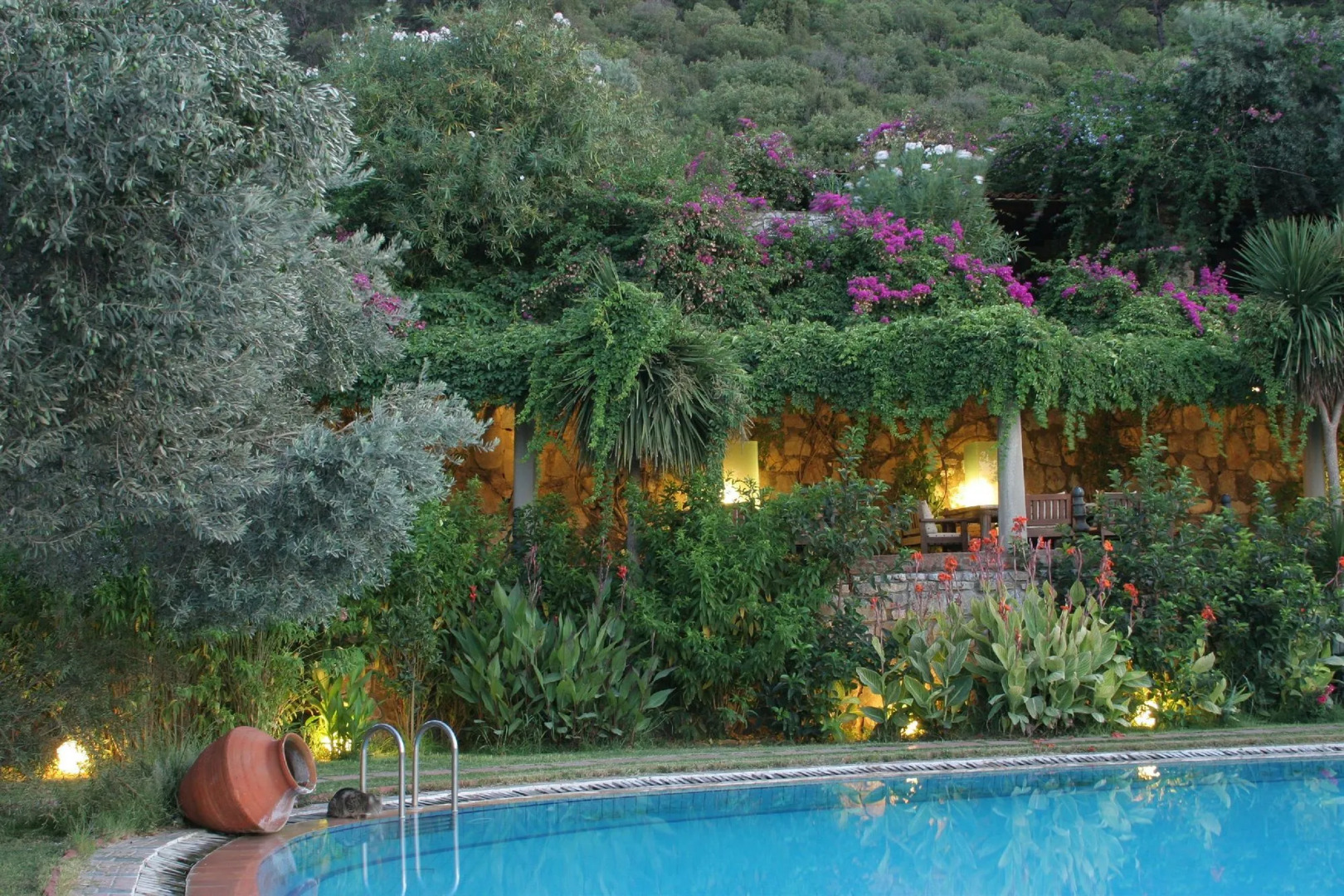 Antik Zeytin Hotel & Art