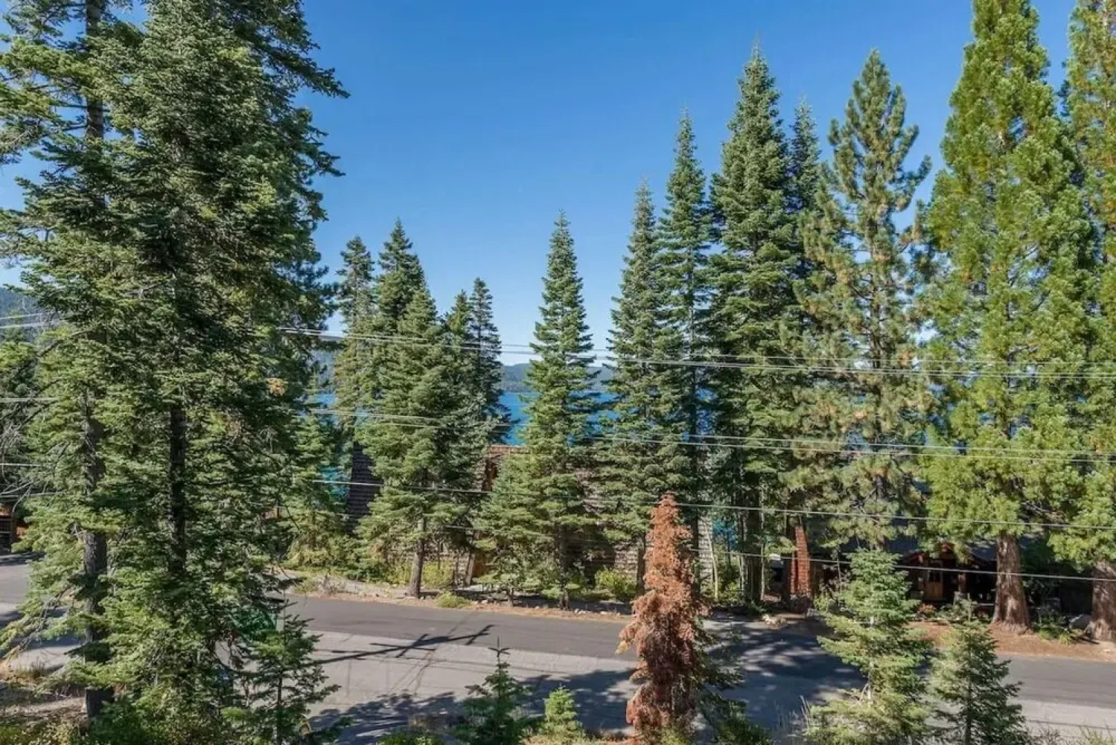 Mckinney Dr Criterion 43 - Ellis Peak