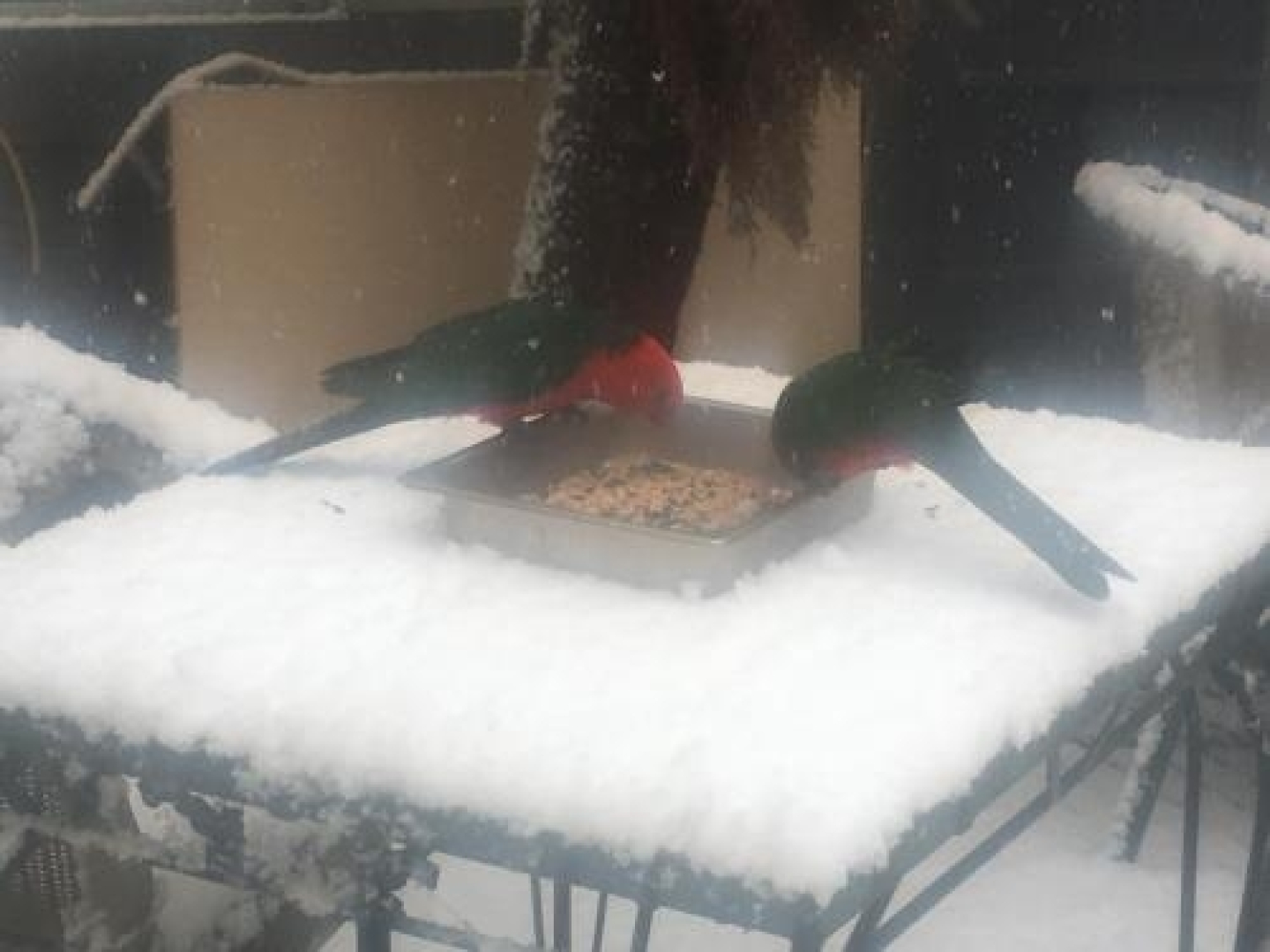 Victoria & Albert Guesthouse