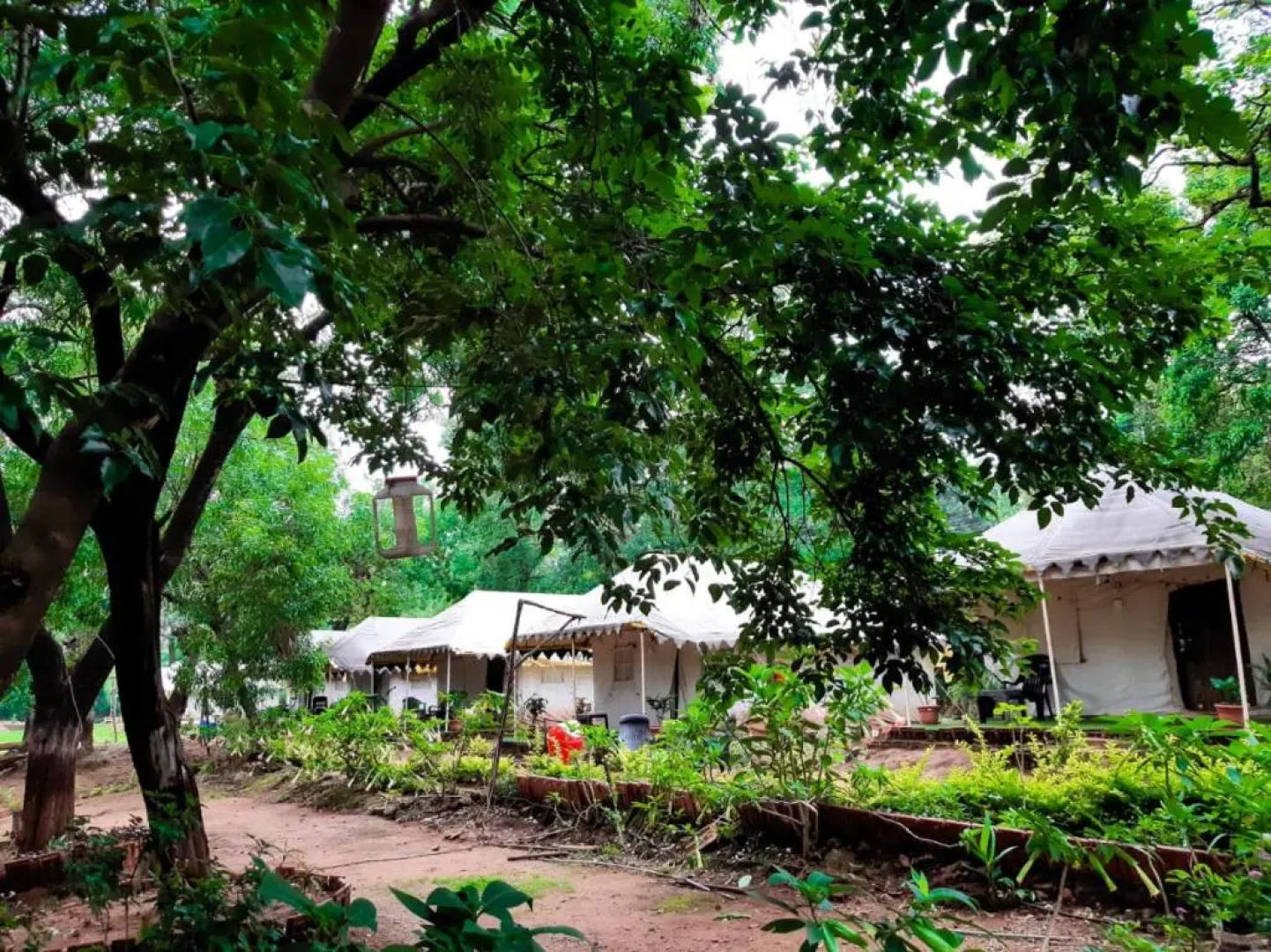 Satpura Adventure Resort & Camping