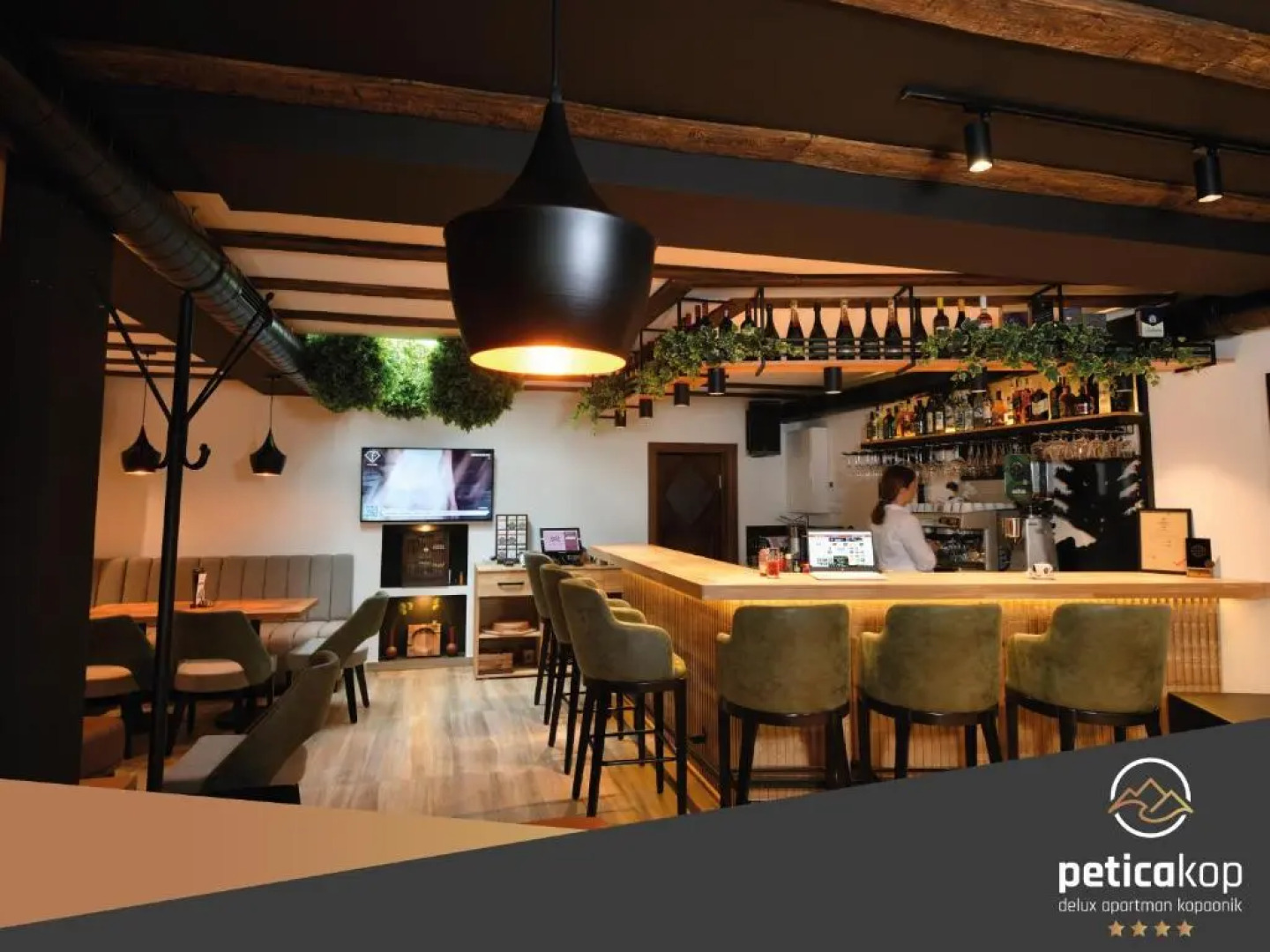 Apartman Petica Kop A8 Kopaonik