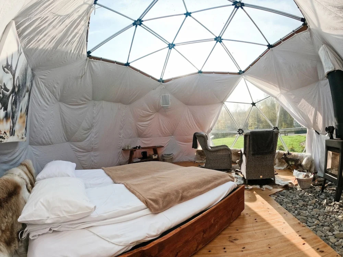 Wild Caribou Dome