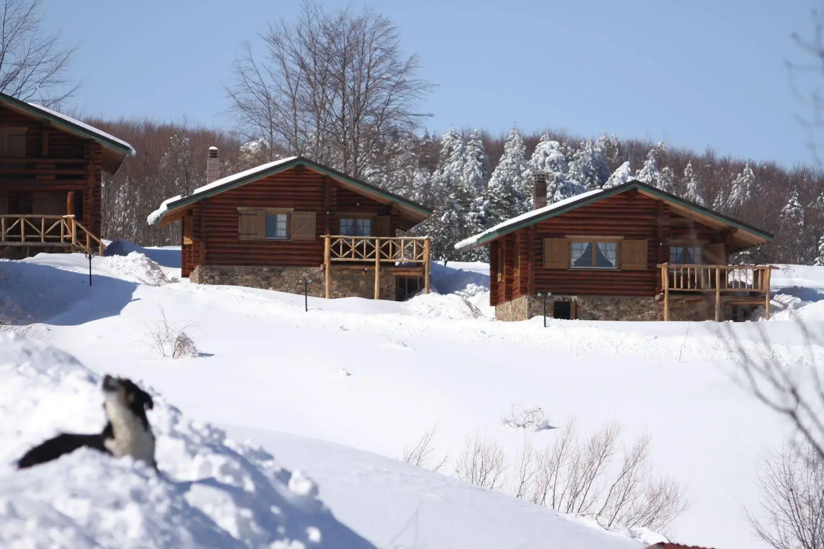 Sfendamos Wood Village