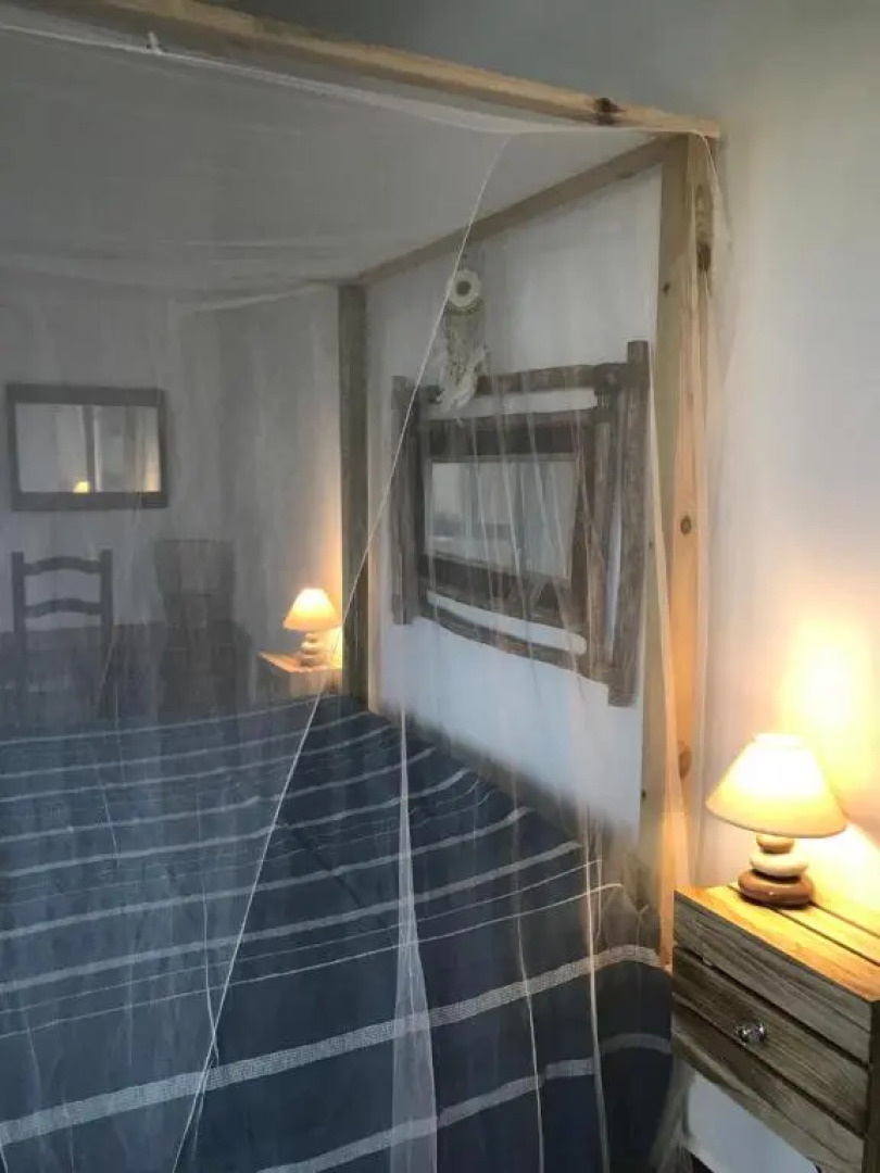 LES ALOÈS By CREYOL ANIMAL