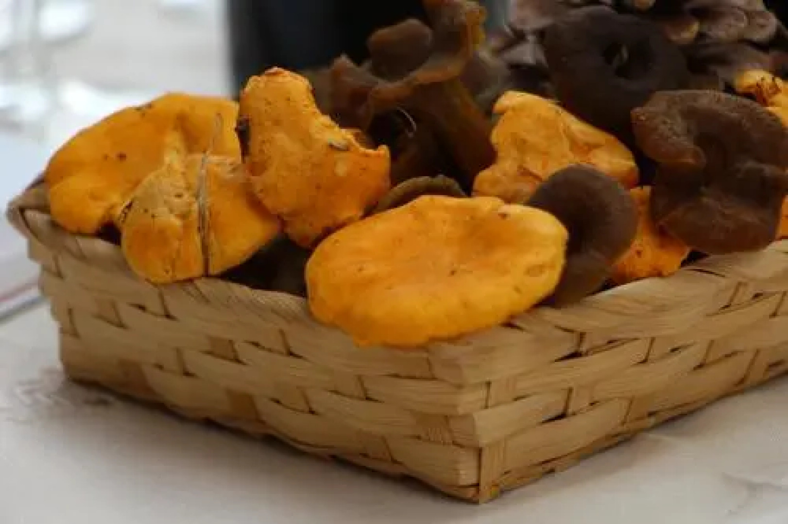 Casa Pioncla Apartments