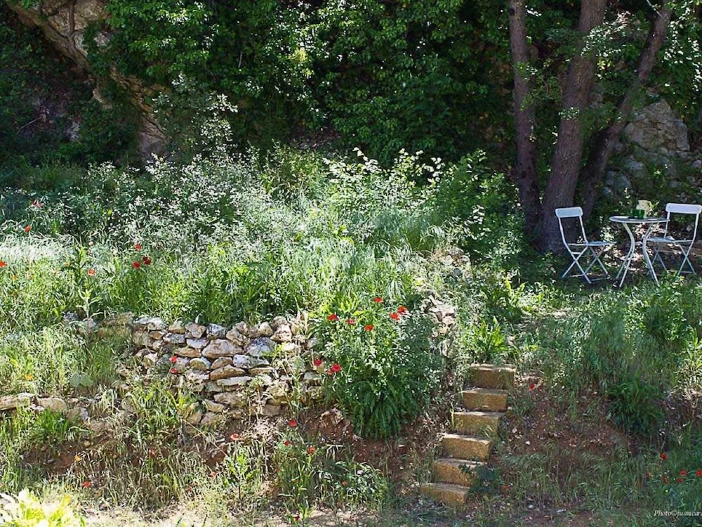 Le Moulin du Rossignol