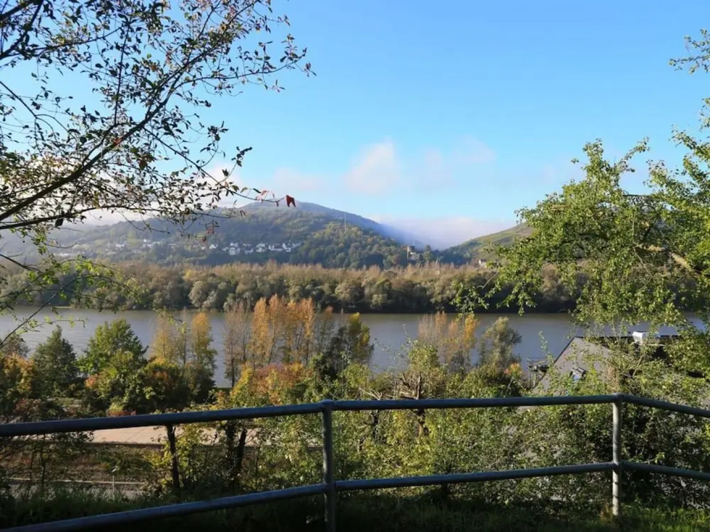 Apartment Pinot Noir