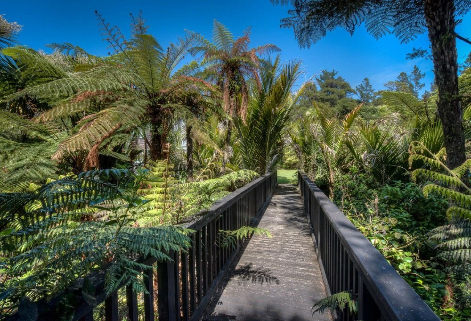 Driving Creek Villas