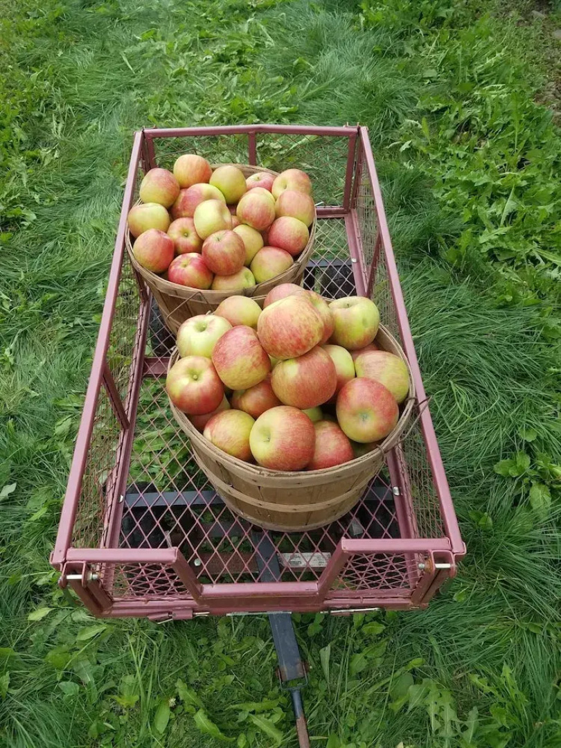 Hudson Manor Bed and Breakfast