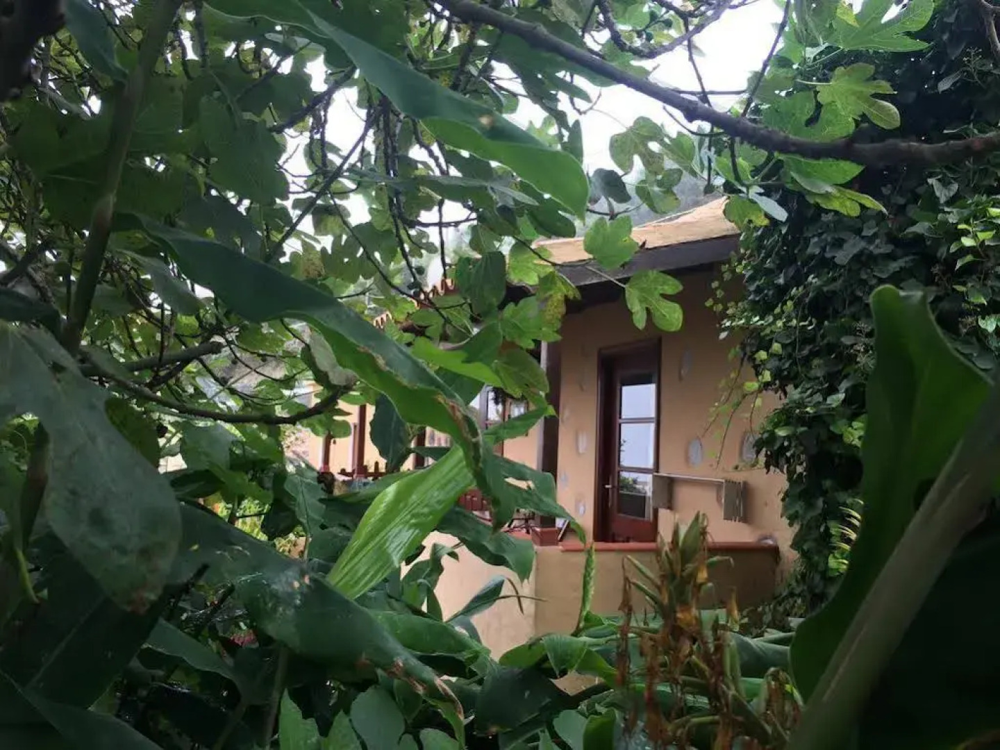 Casa Rural Las Rosas