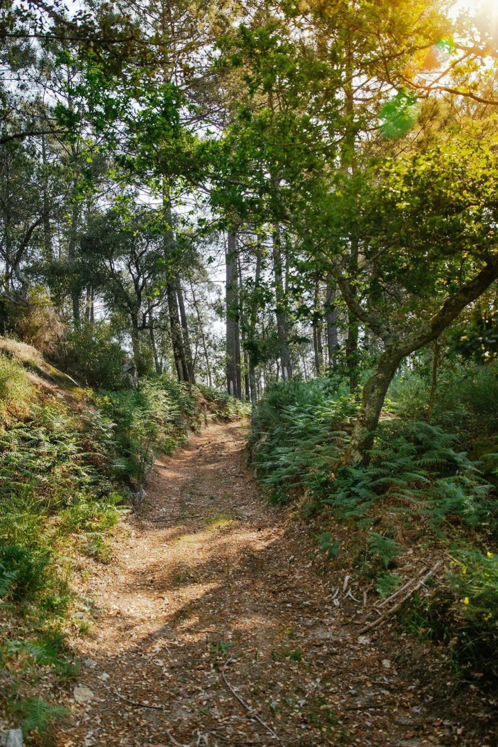 Quinta da Bouça d'Arques