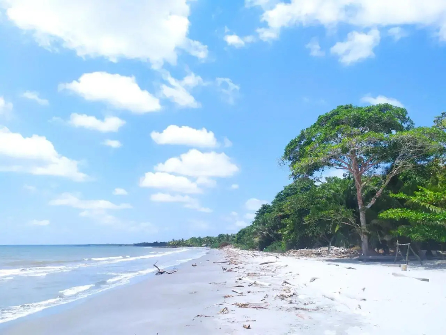 Tiki Lounge Necoclí