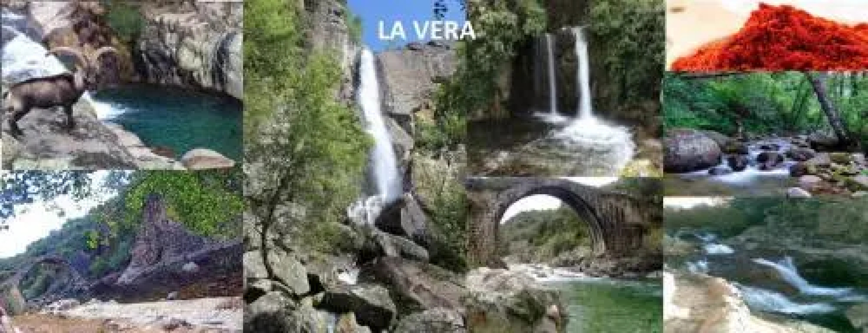 Apartamentos Capuchinas