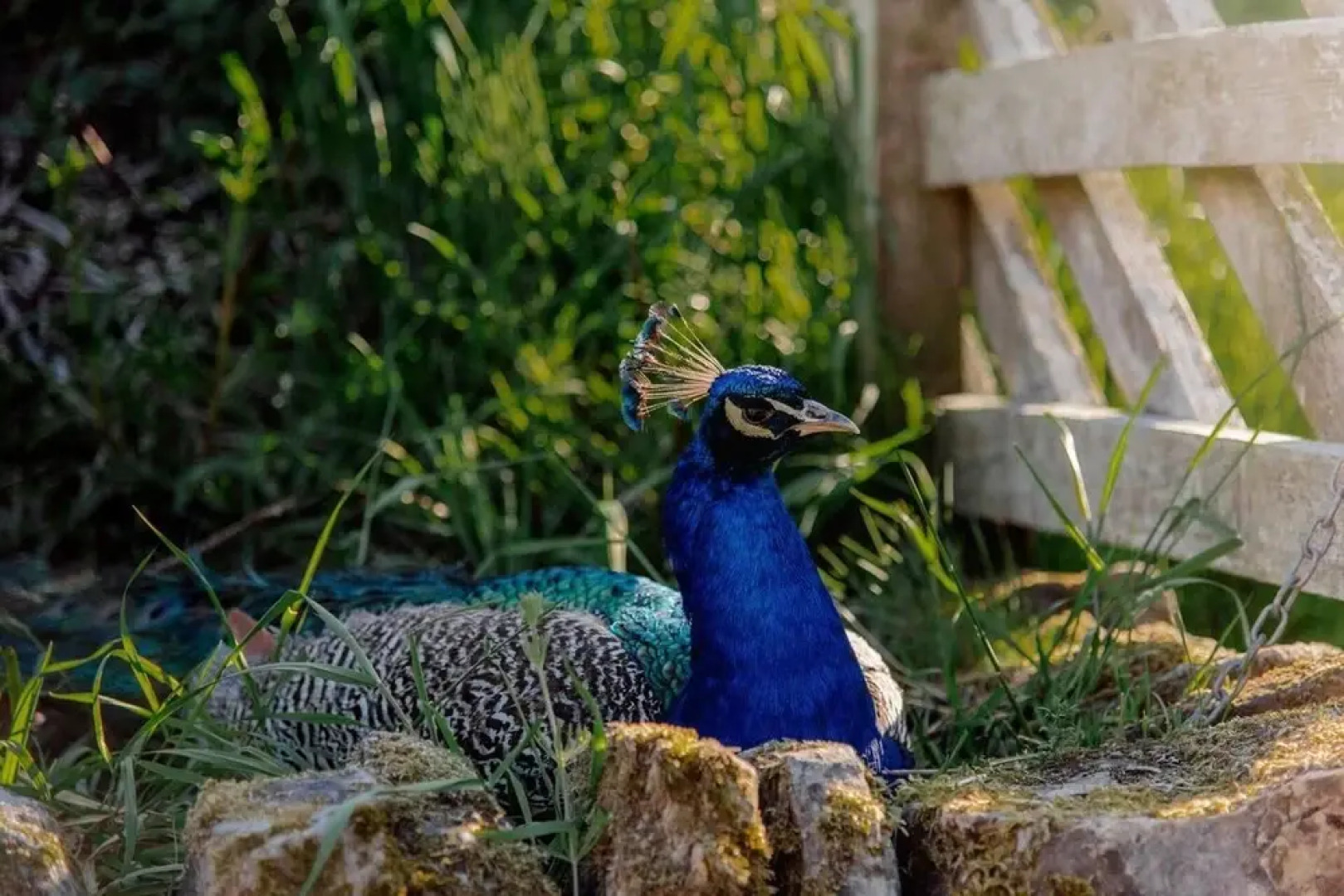 Unique Four Bedroom House