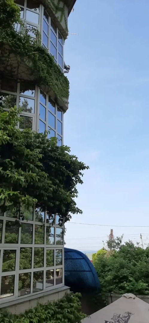 Приморье (Адлер)