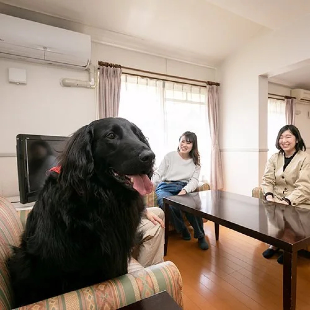 Nagasaki Aguri no Oka Kogen Hotel