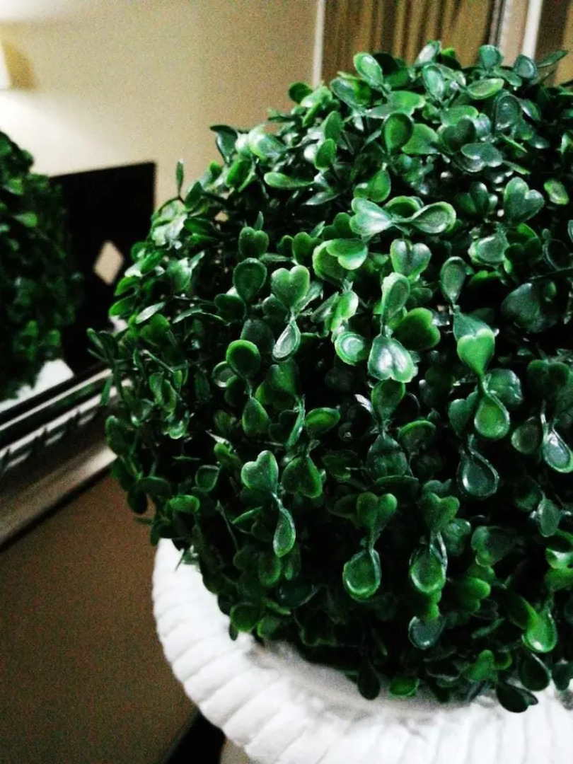 Willow Manor Brits Guest House