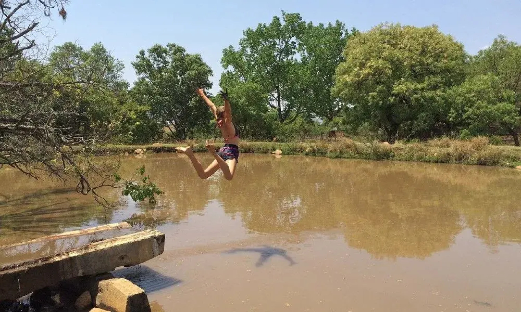 Lydenrust Guest Farm and Horse Trails