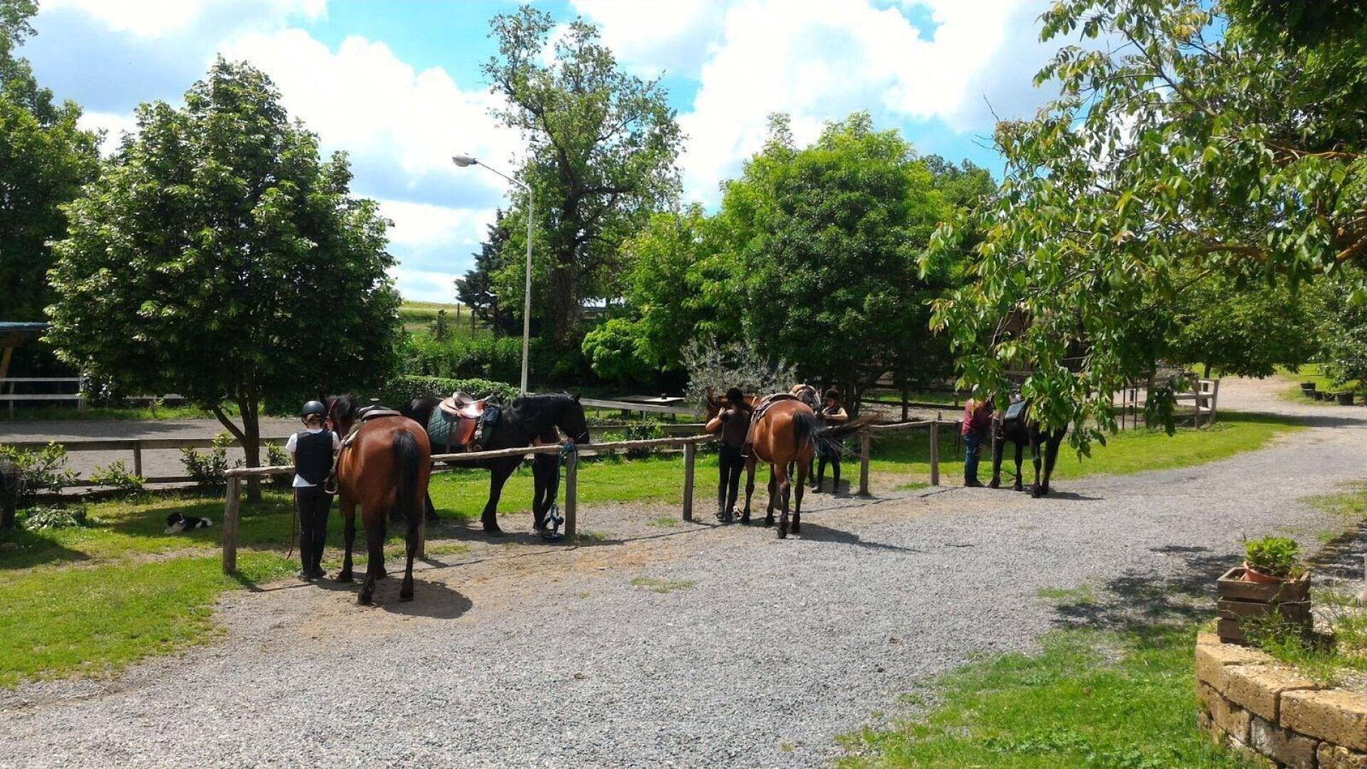 Agriturismo San Filippo