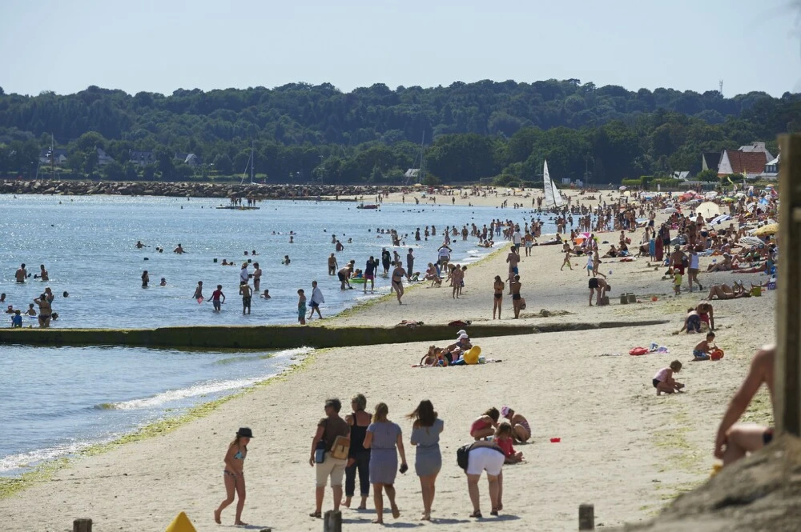 Chambre d'Hôtes de Suzette