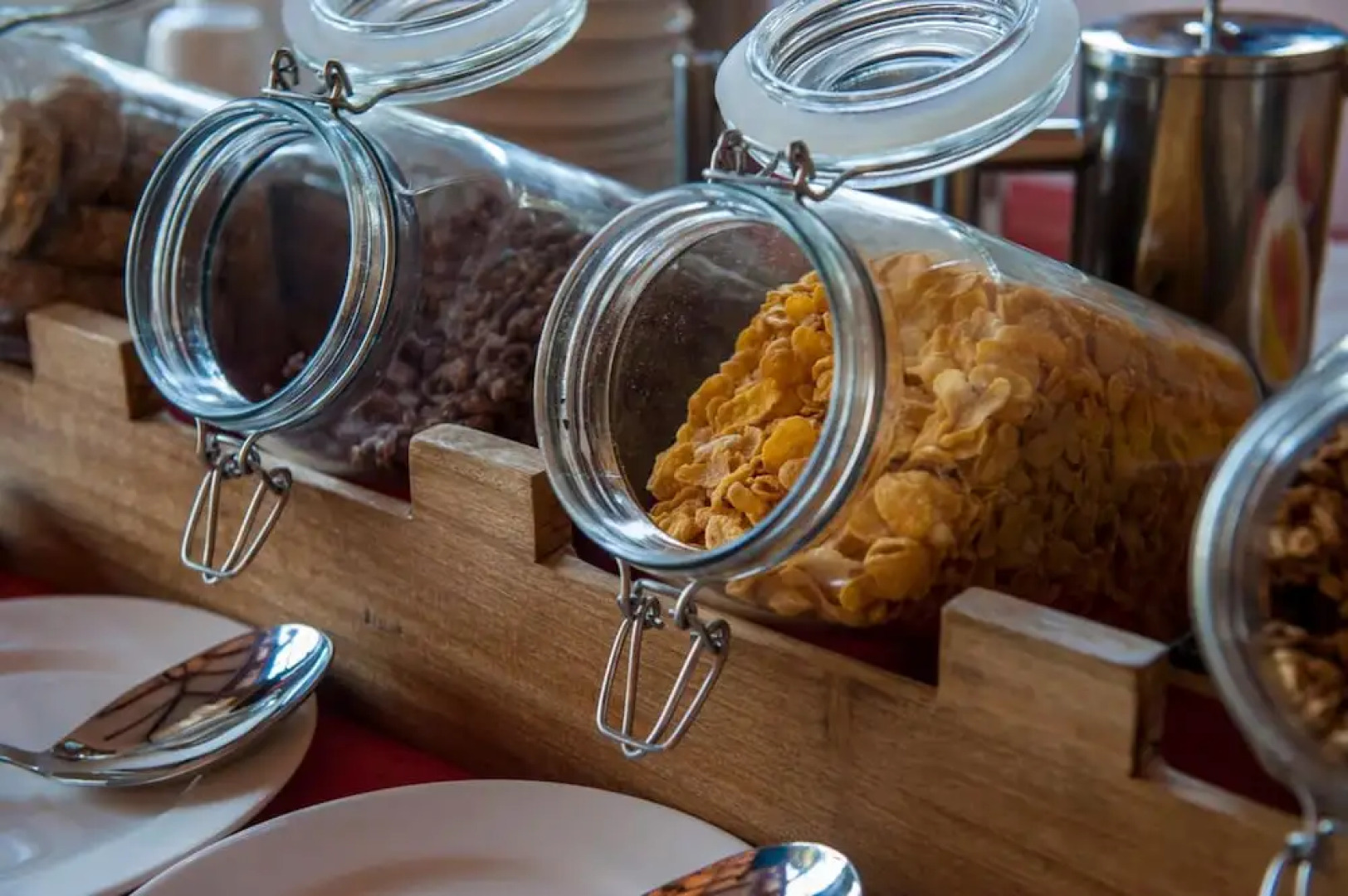 Ngorongoro Lions Paw
