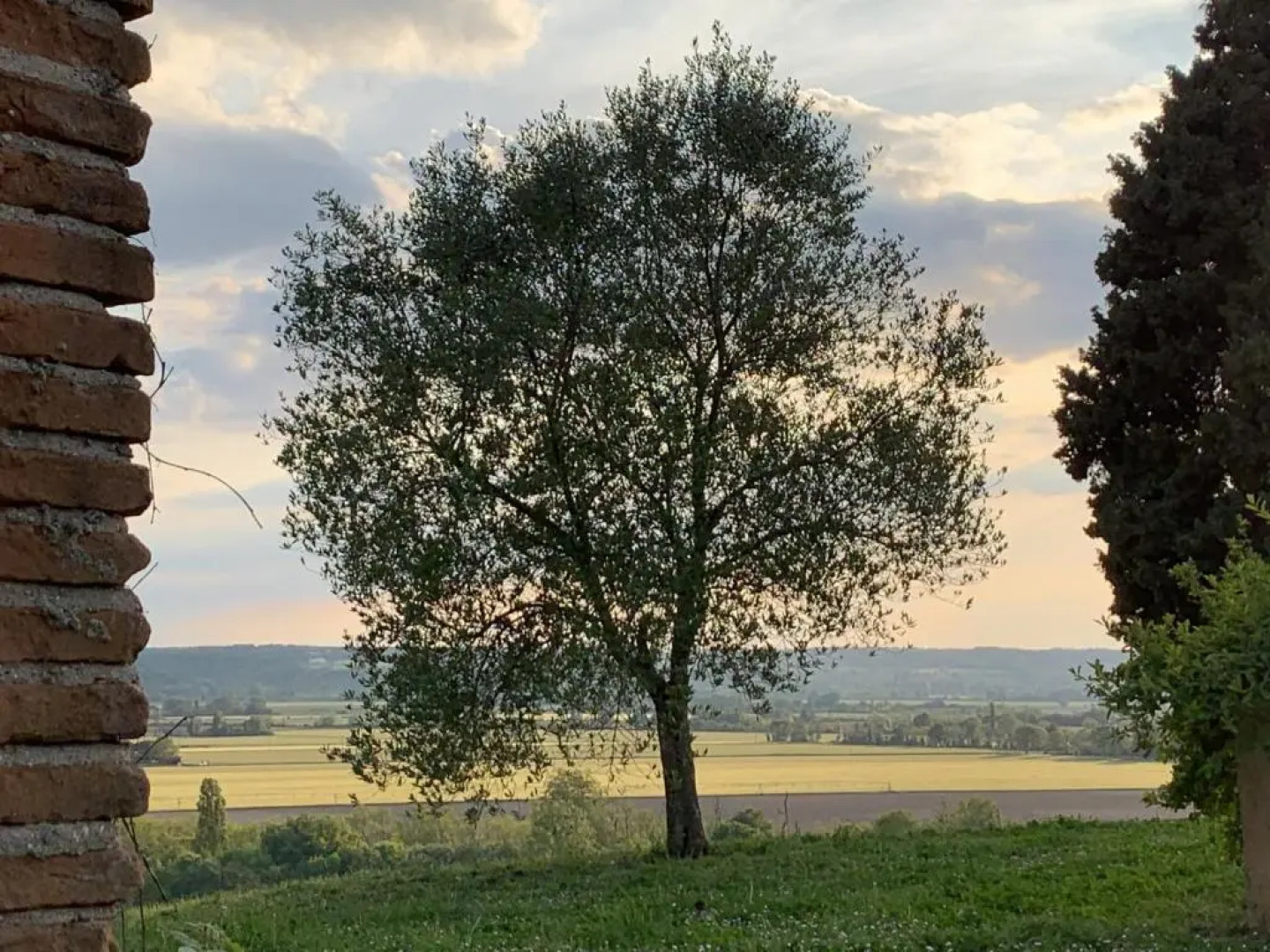 Domaine de Quintalone