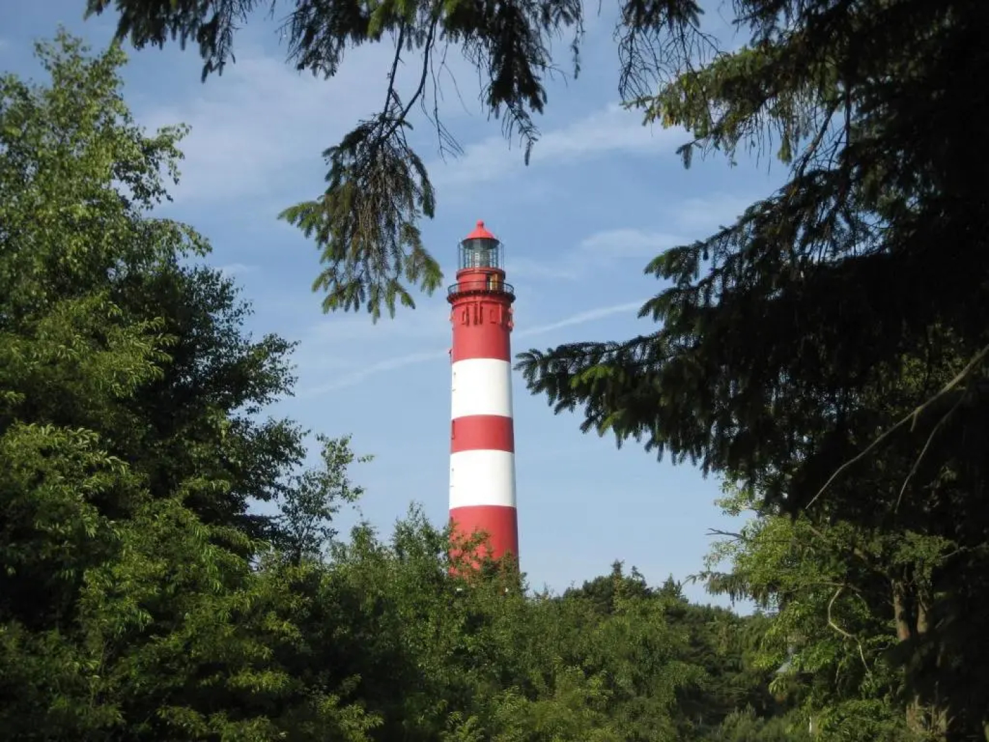 Appartements Hafen 31