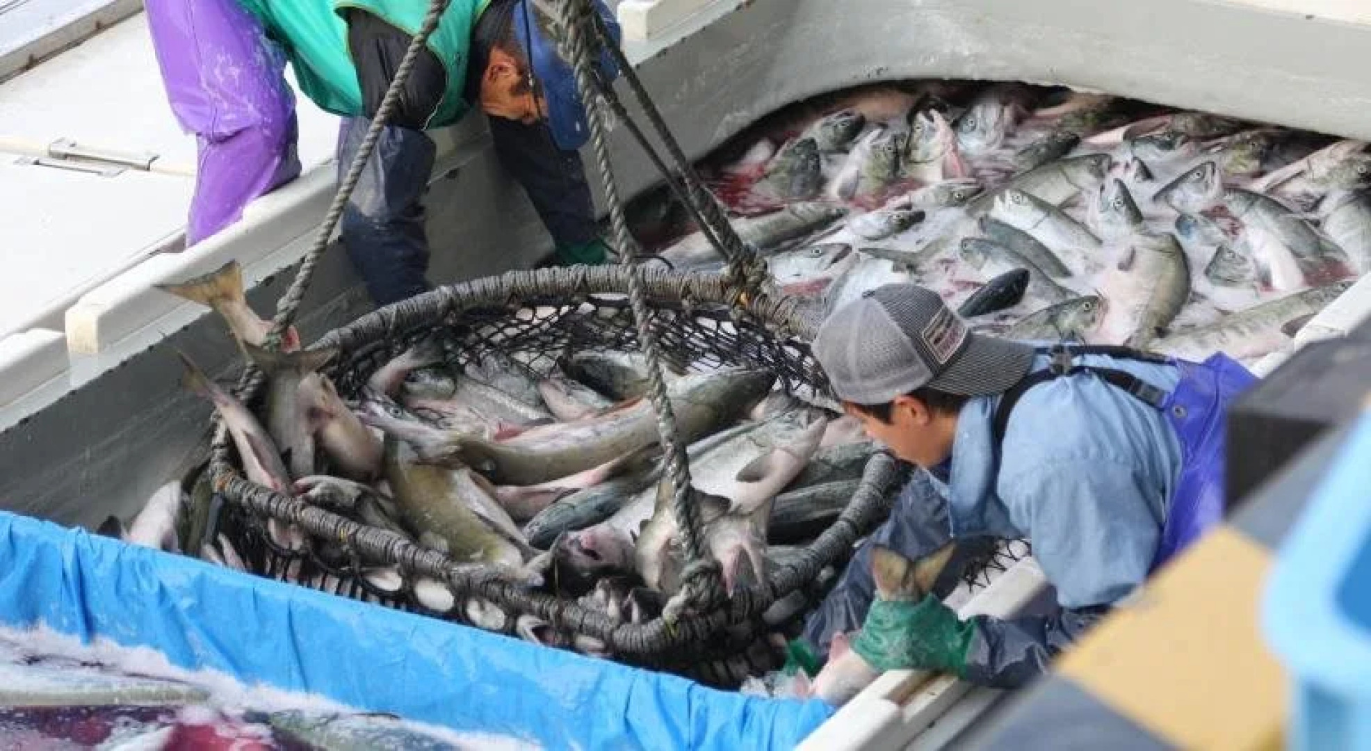 shiretoko HOSTEL hanare