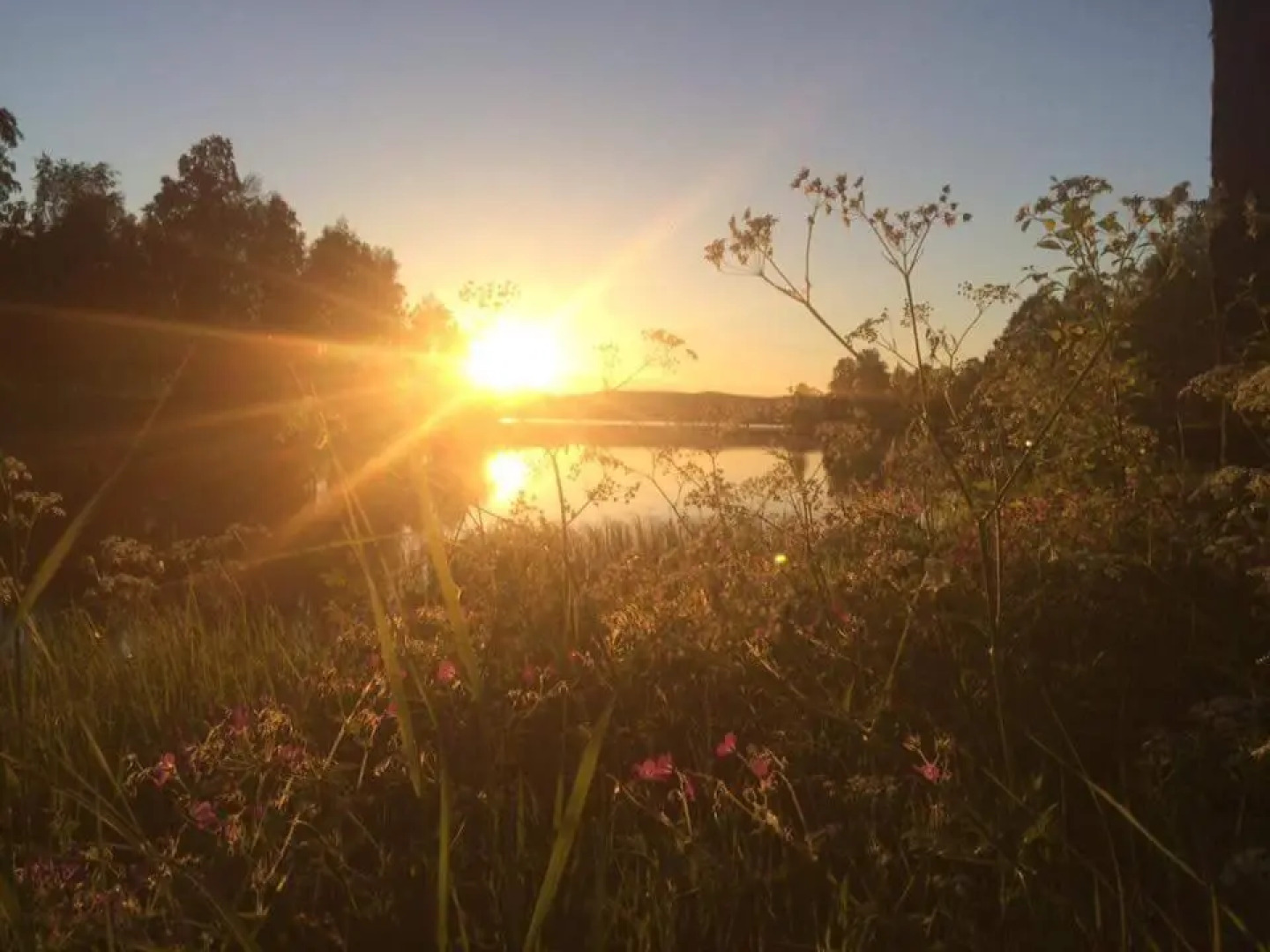 Lövås Gård Koppera