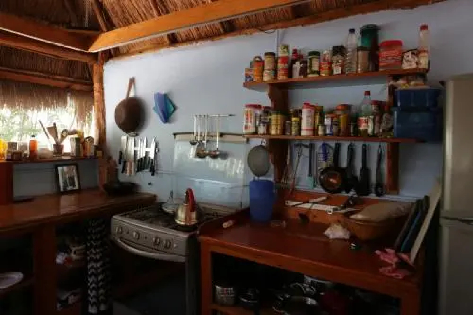 Cavelands in the Jungle