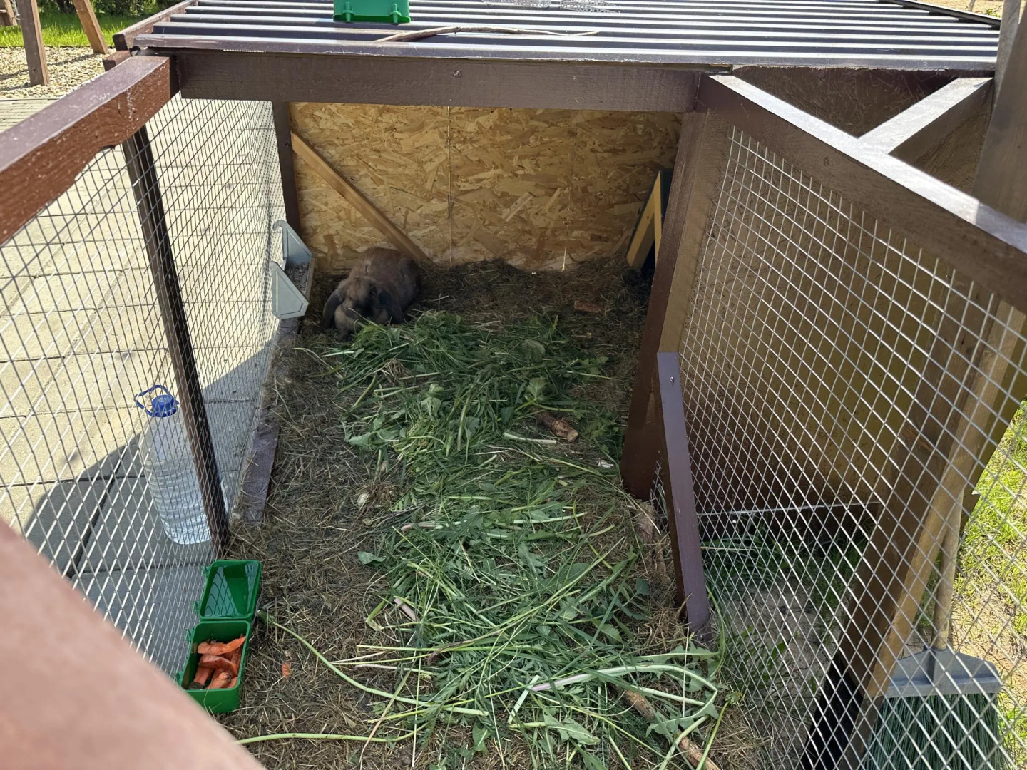 Pav.love Village (ПавЛов)