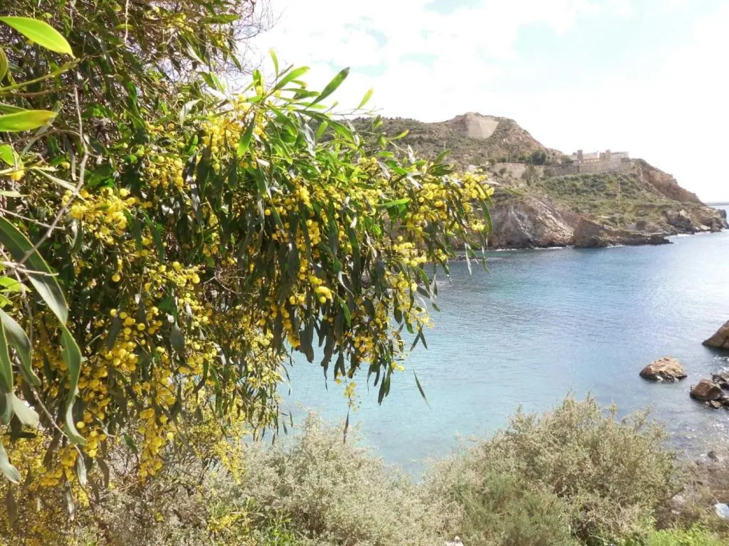 Coming Home - Penthouses La Torre Golf Resort