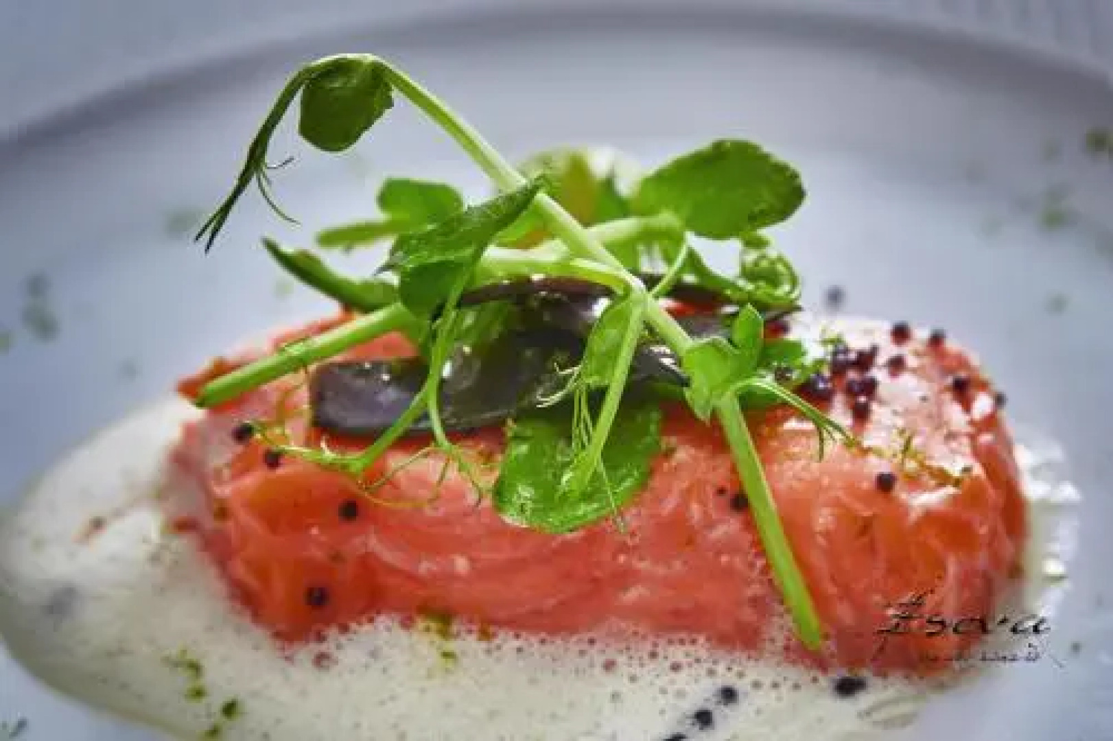 Erhardt Wirtschaftsbürger Haus