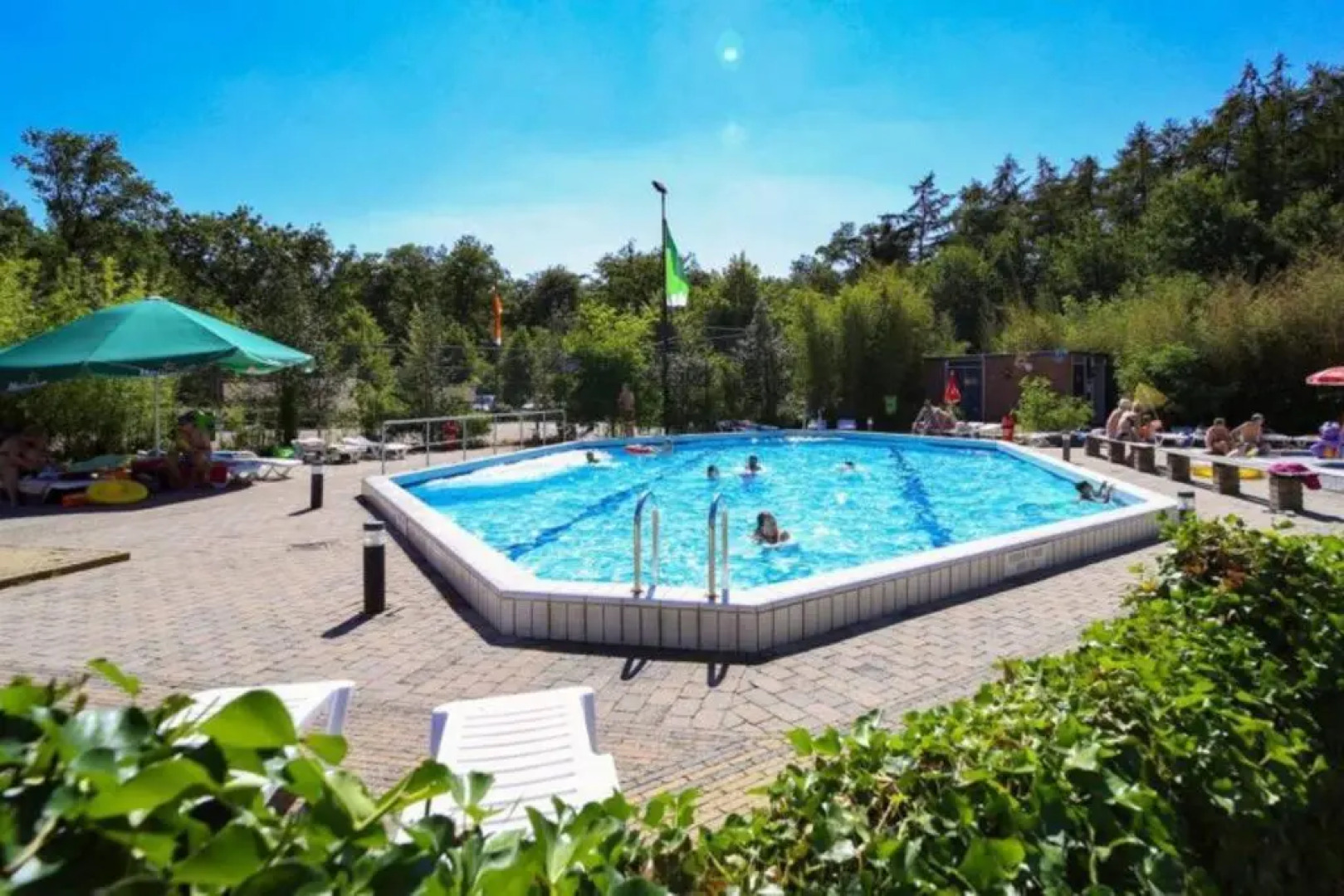 Houten bosvilla met sauna en 2 slaapkamers