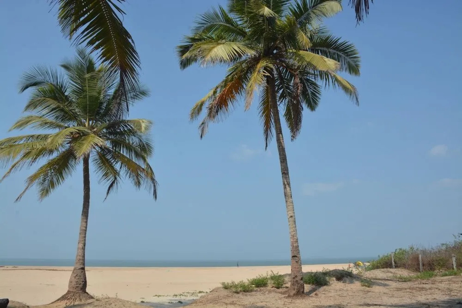 Betelnut Inn Mrkt by SPLENOR