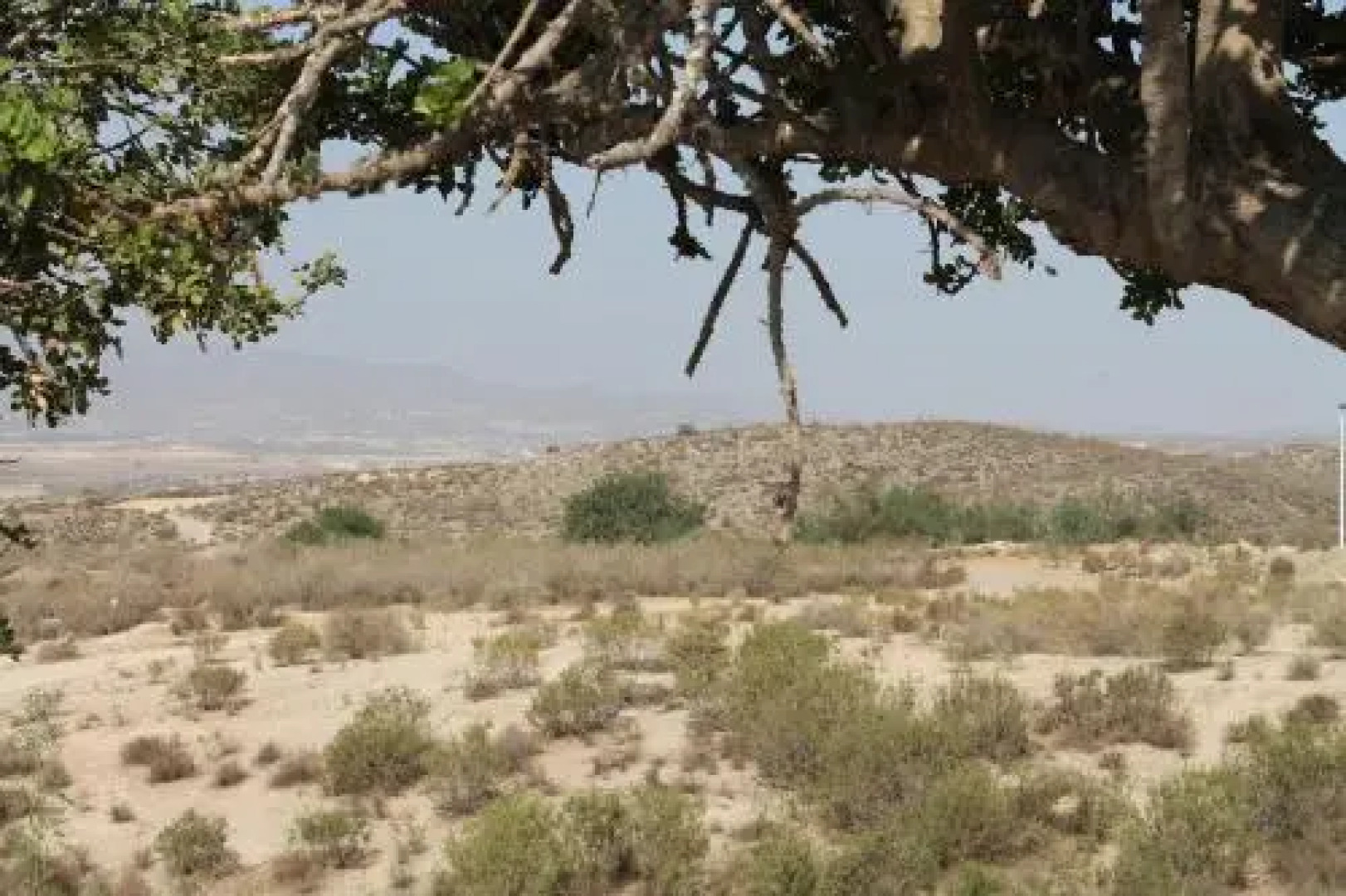 Casa Alegria Mazarron