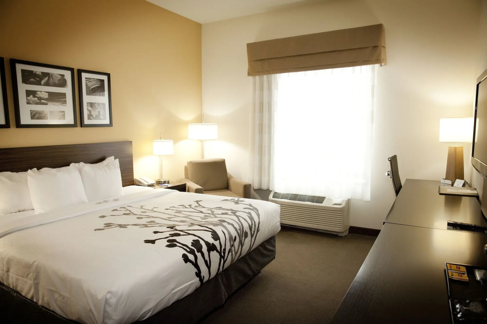 Sleep Inn & Suites Moundsville - Wheeling