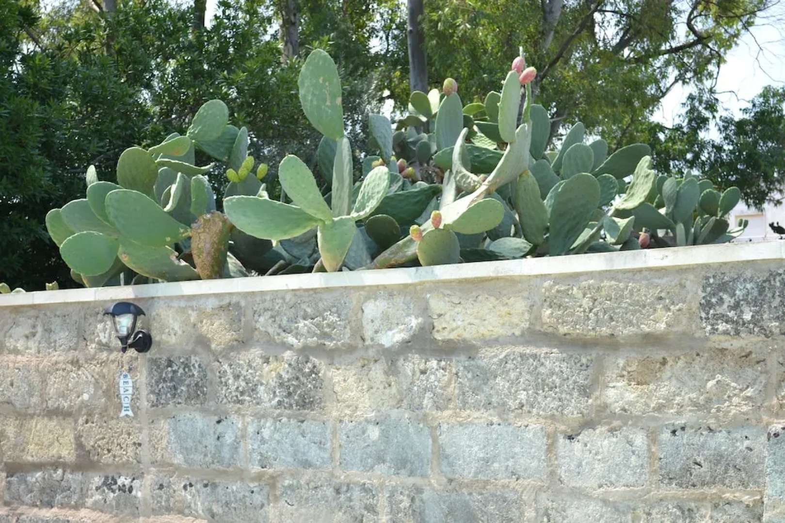 Salento Rosa Dei Venti