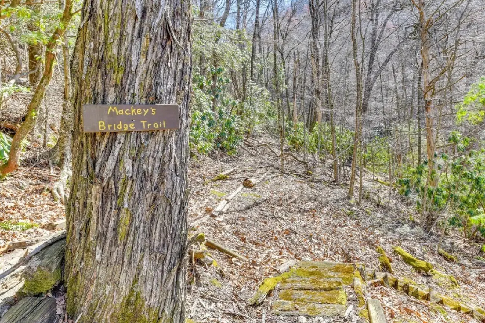 Spacious Maggie Valley Cabin w/ Waterfall On-site!