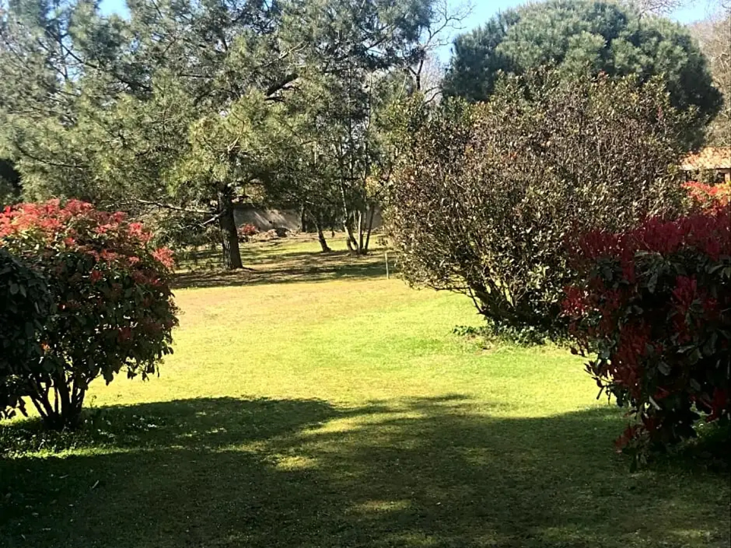 Le 25 L'ocean (Adults Only)