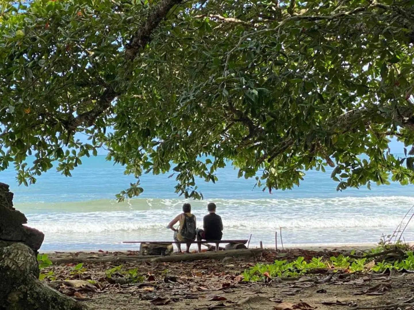 El Colibri Rojo Hotel Cabinas